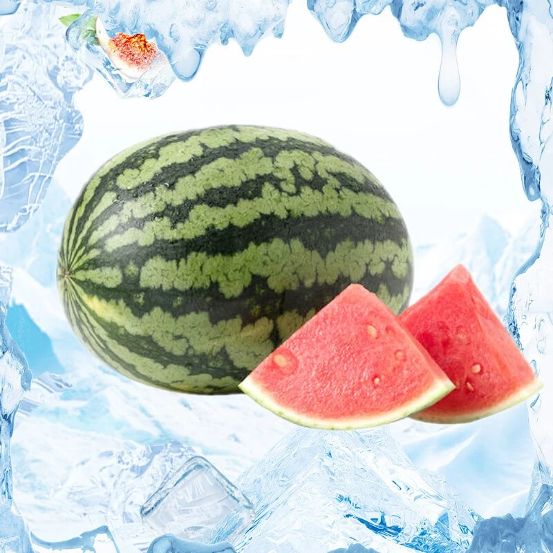 甘美西瓜(OL)4kg-5kg/个西瓜同城配