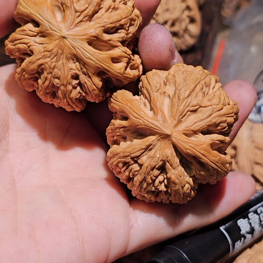 文***哥文玩核桃吊坠44粗筋