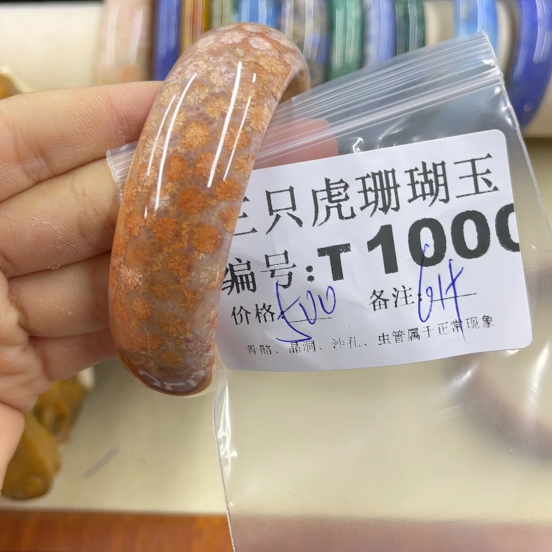 平***孑硅化珊瑚（珊瑚玉）h未镶嵌