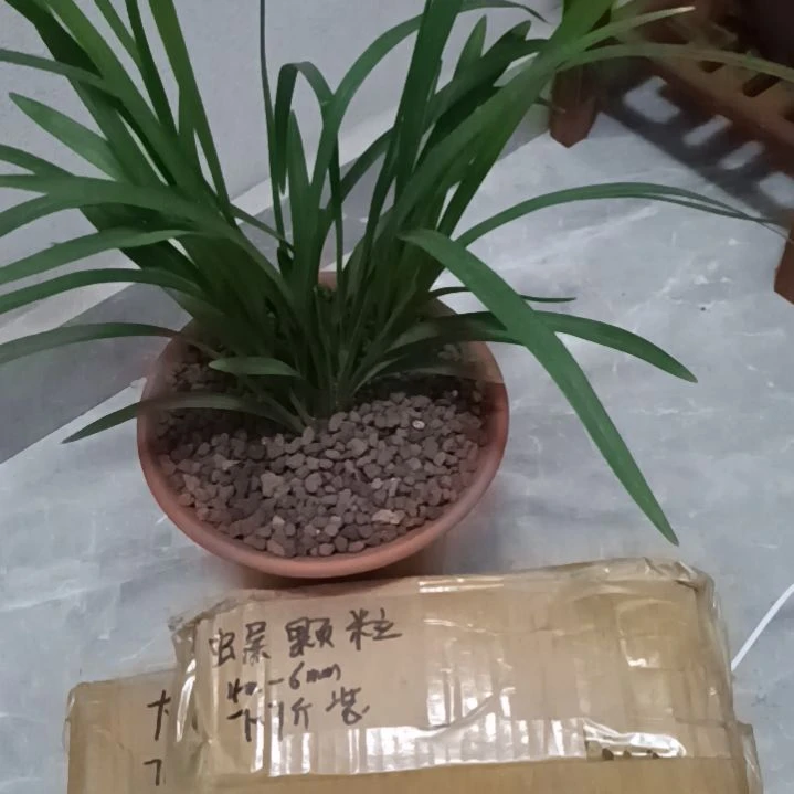 羽***征兰菌颗粒虫屎7.7斤