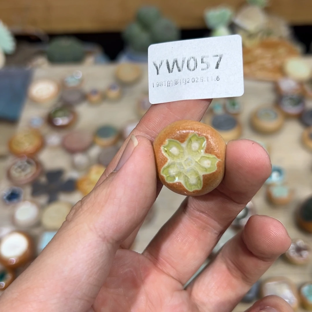 小***t1987花盆YW057盆盆盆盆