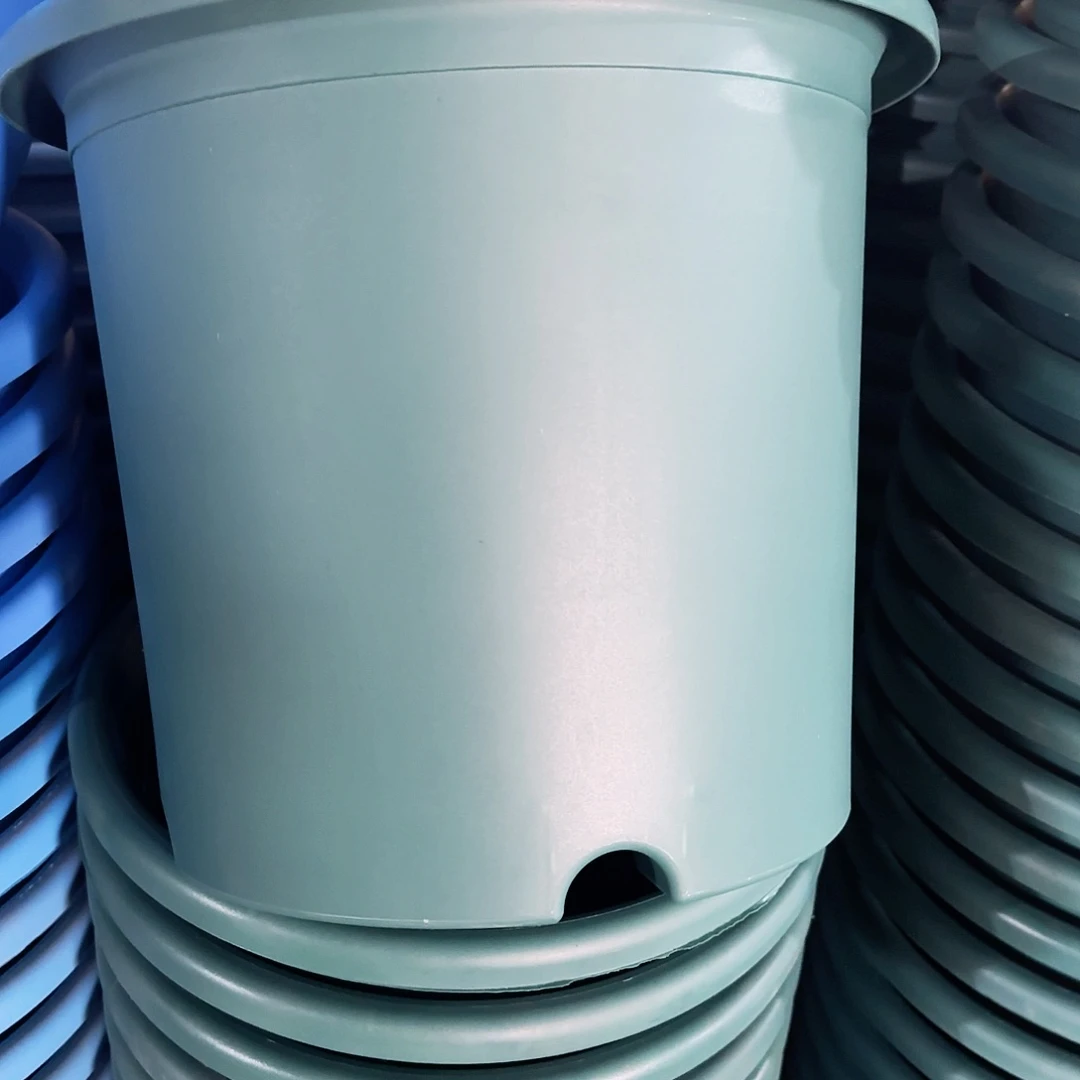 树脂特价6#无拖祖母绿7个