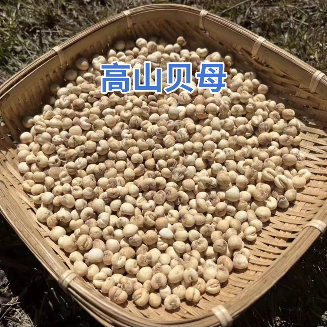 现收山货 高山 贝母本色小粒搭百合 大山好物 四川地方特产