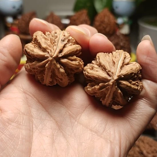 文玩核桃吊坠微彩焰龙5