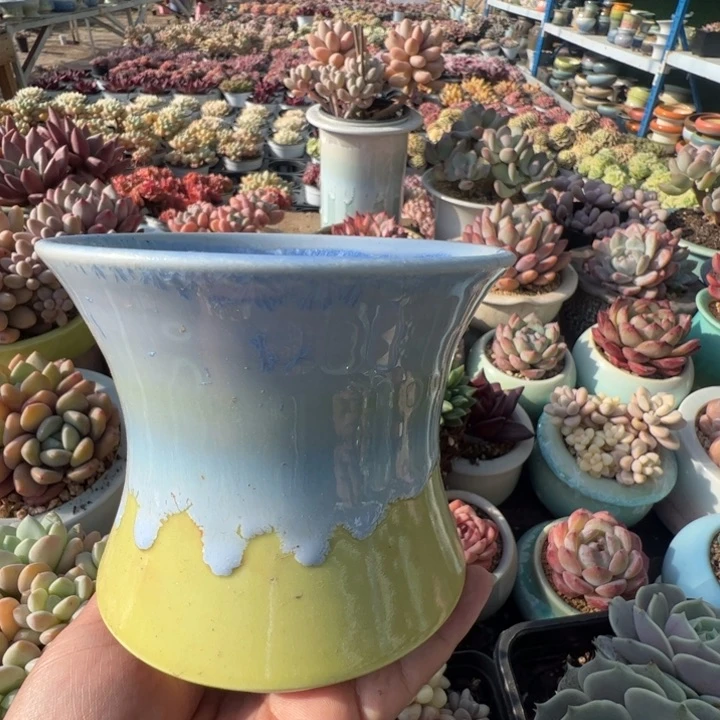 特价花盆满50发货内口10