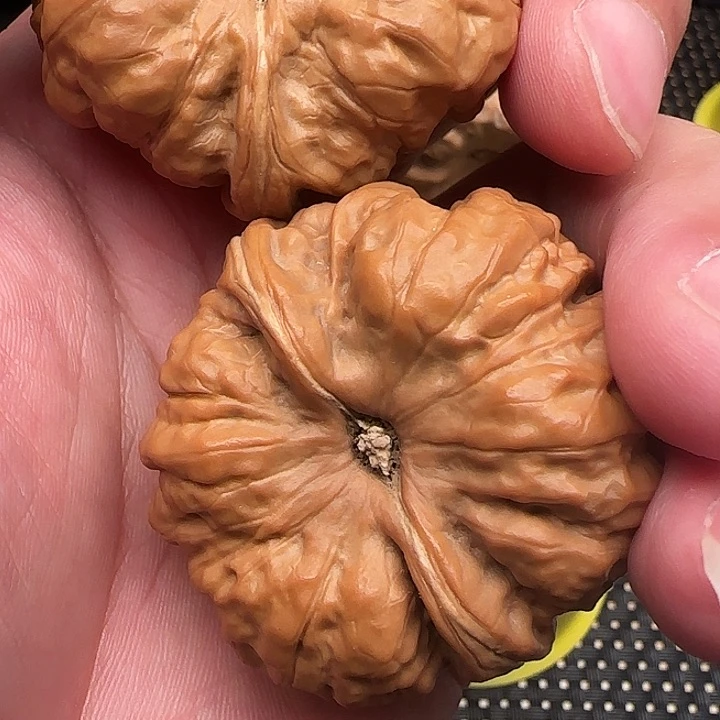 文玩核桃把件玉****走