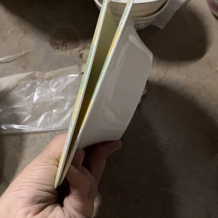 用***子瓷片骨质瓷花草帽盘2个