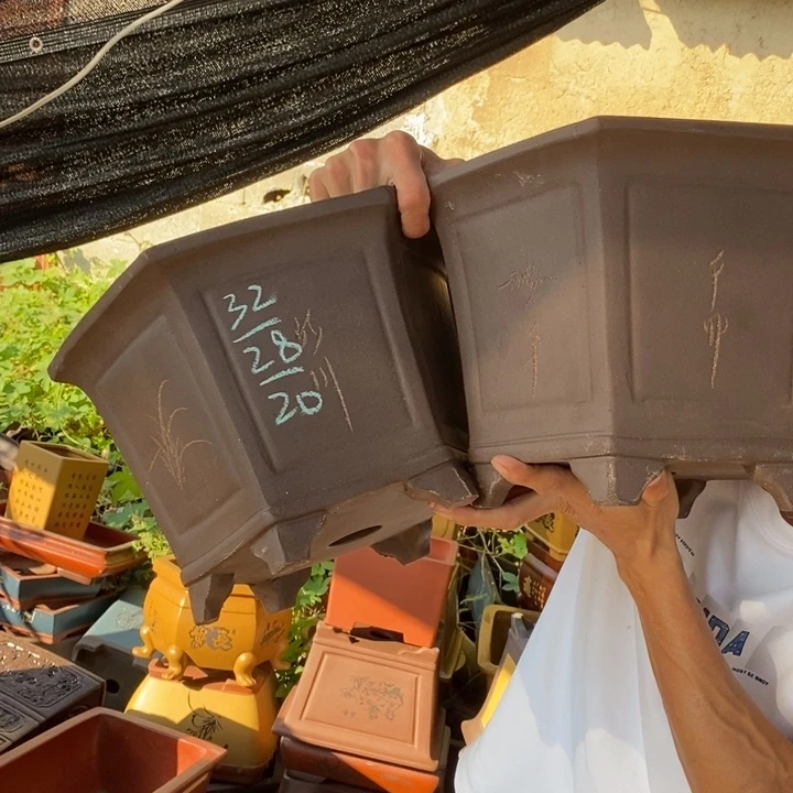 花盆紫砂没有什么不可以的事情就是说