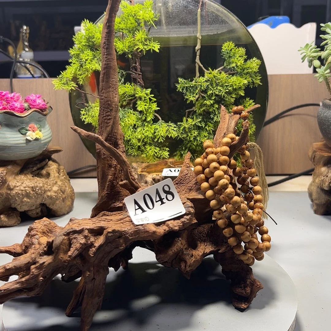 大果紫檀（缅甸花梨）大*子