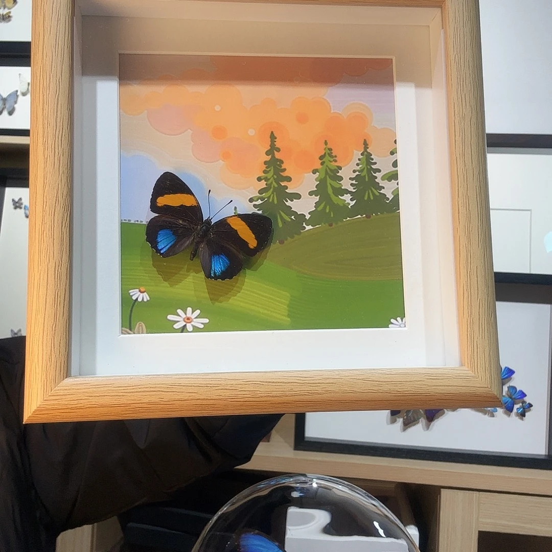 玻璃基黄星蛱蝶a1