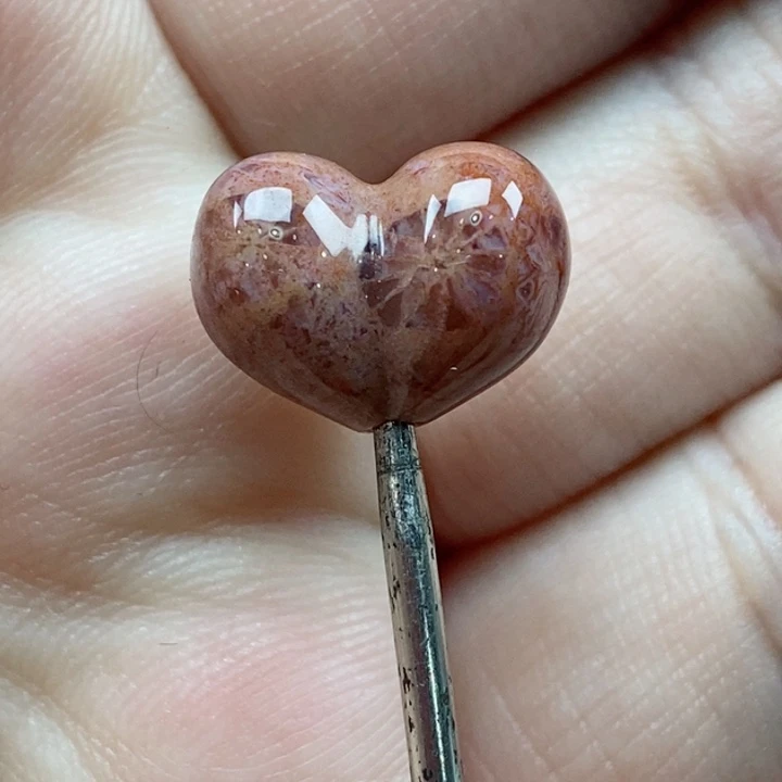 颈饰未镶嵌硅化珊瑚（珊瑚玉）小