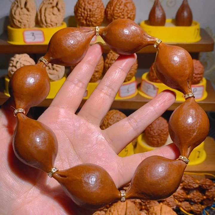 野生巴西大橄榄核手持