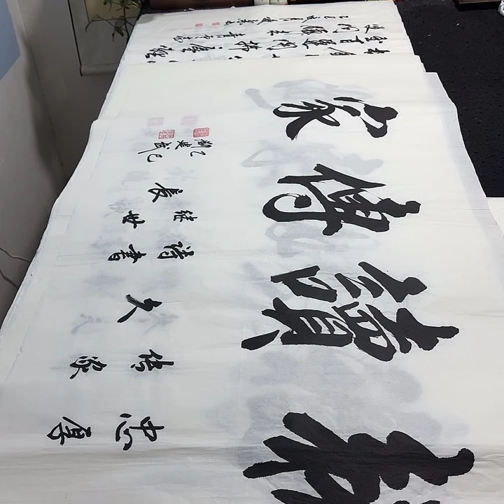书法老师精品行书平尺
