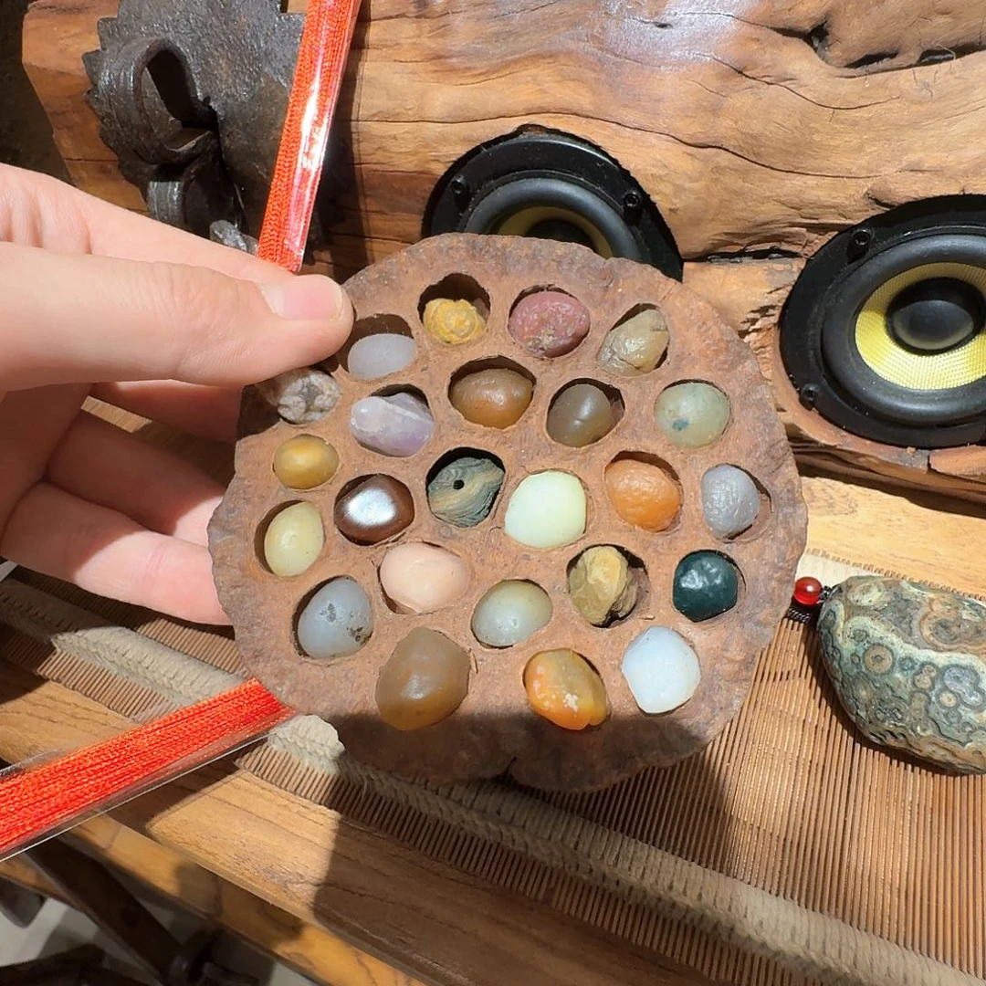 老了就不想了吗我的天