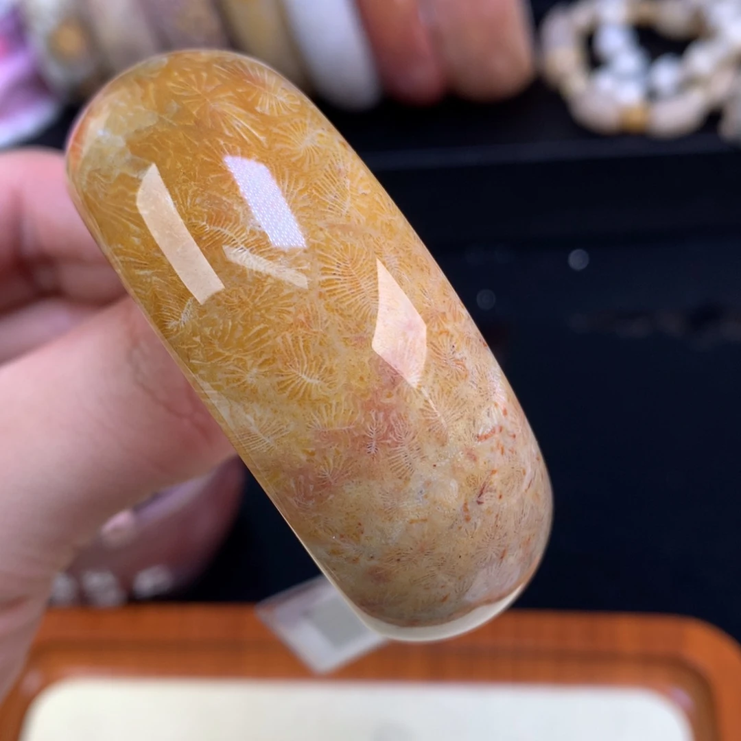 硅化珊瑚（珊瑚玉）未镶嵌颈饰65号51.3圈胖虫