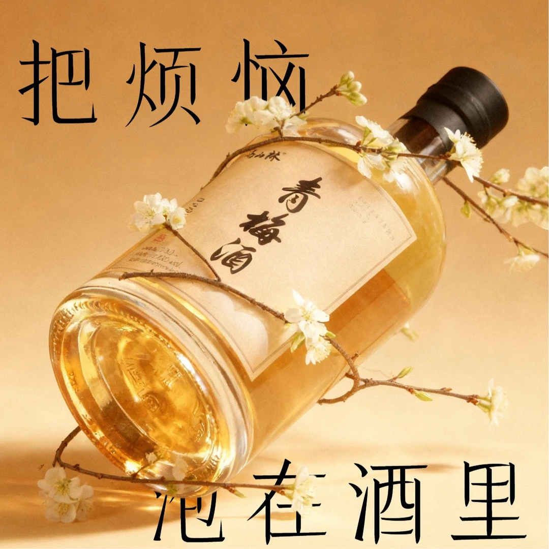 微醺必备青梅酒低度果味甜酒适合女生