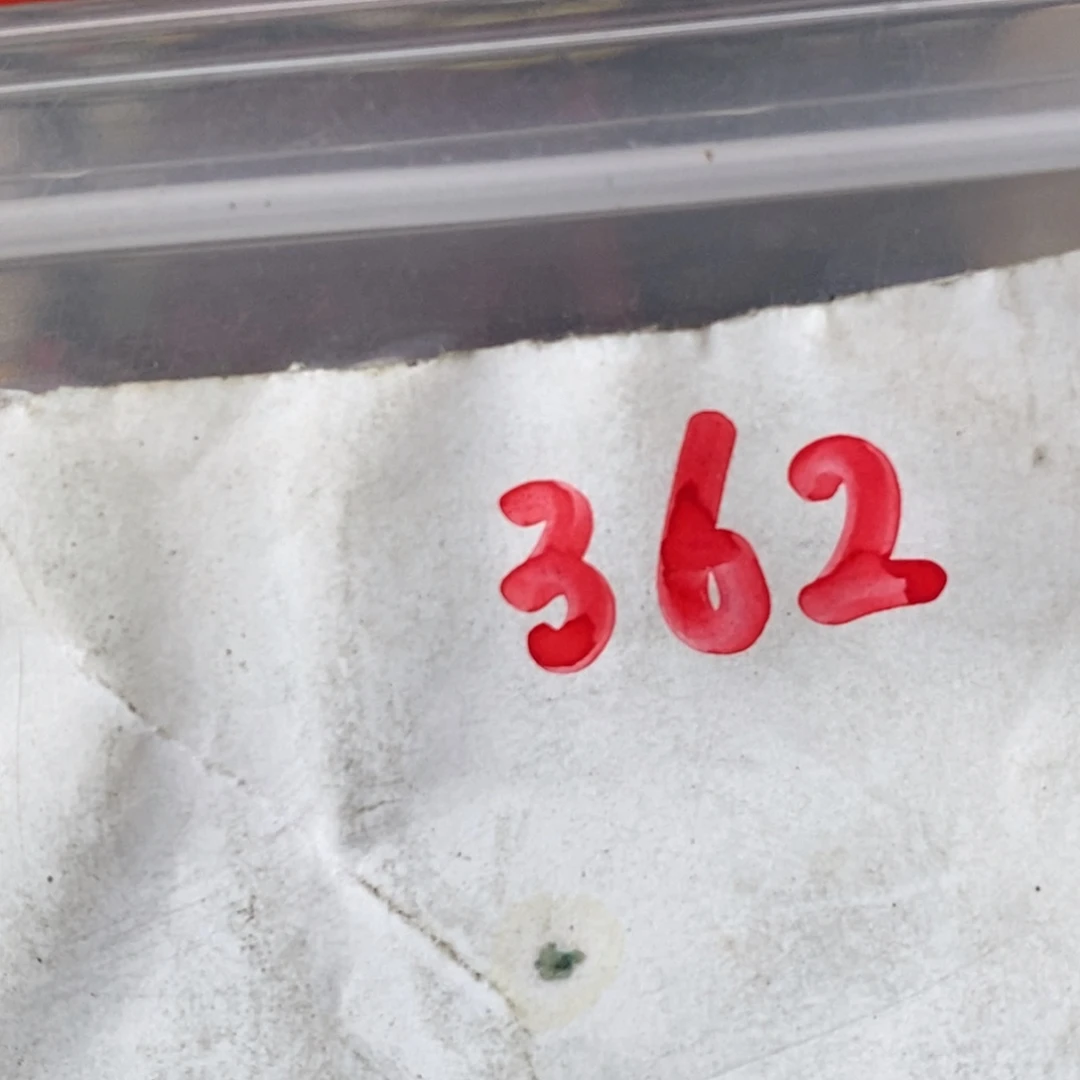 花***年吊坠龙脊菩提德宝文玩直播间专属链接