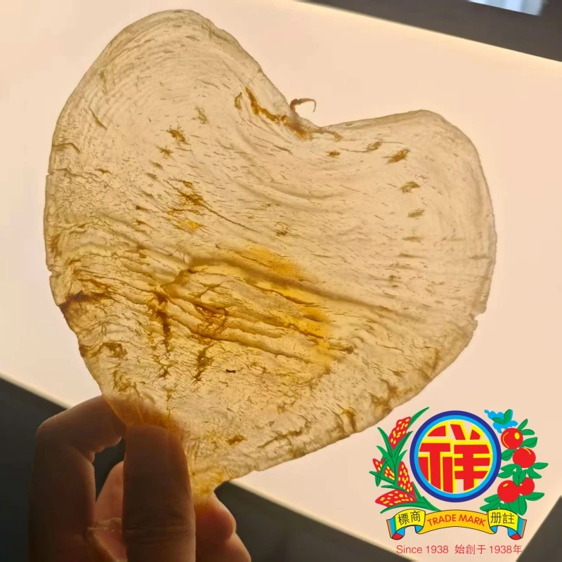 李祥和鱼胶 8—10头斗湖胶 缅甸斗湖胶 柔肉斗湖