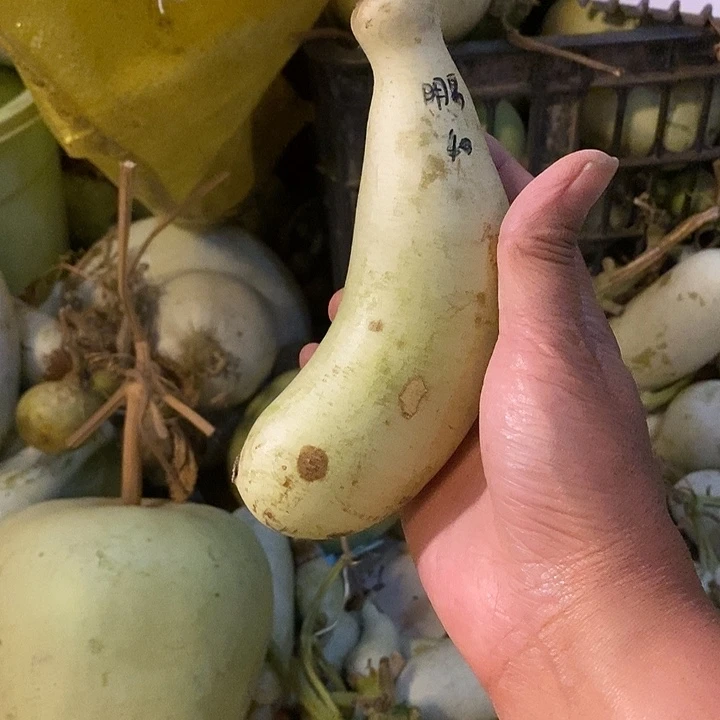 沂***青皮腰子葫芦手把件摆件