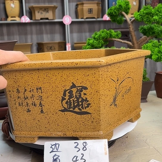 紫砂花盆宜兴市优秀