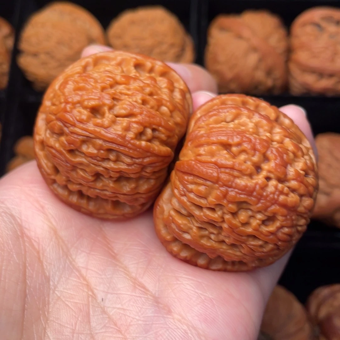 秦岭野生文玩核桃