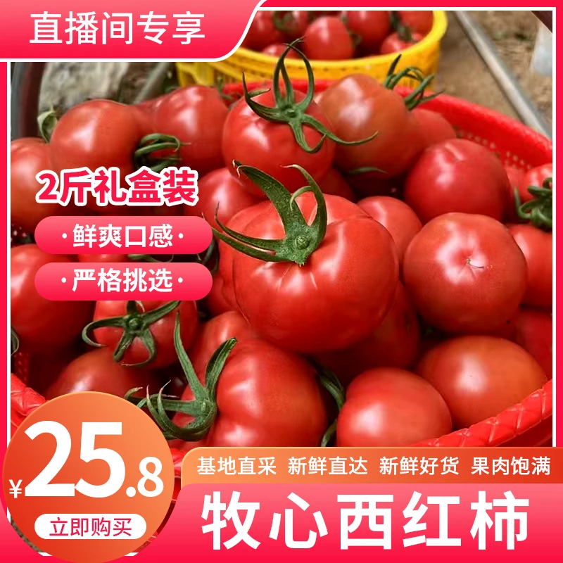 牧心西红柿1000g番茄同城送牧心西红柿陕西省陕西省宝鸡市