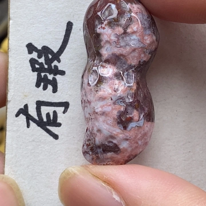 硅化珊瑚（珊瑚玉）未镶嵌颈饰
