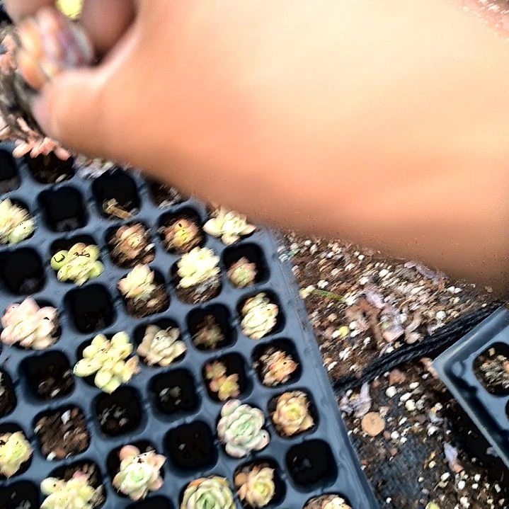 用****2满9元包邮，，46号垃圾堆无售后