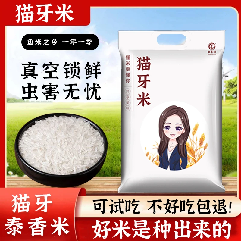 猫牙米5斤24新米正宗长粒猫牙香米优质籼米丝苗米梯田米真空包装