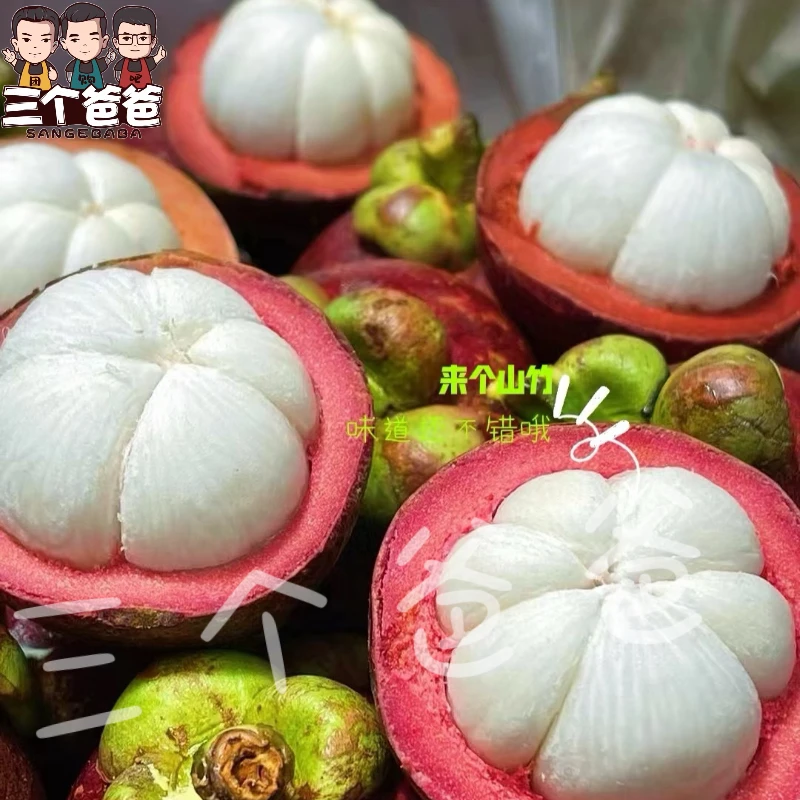 白胖子 精品山竹 约3斤【坏果包赔】