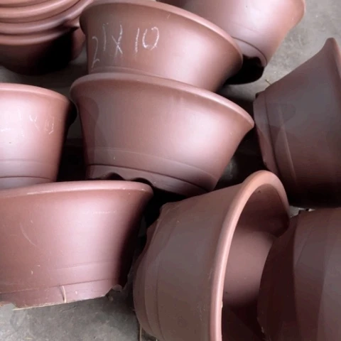 100-8。       21-10