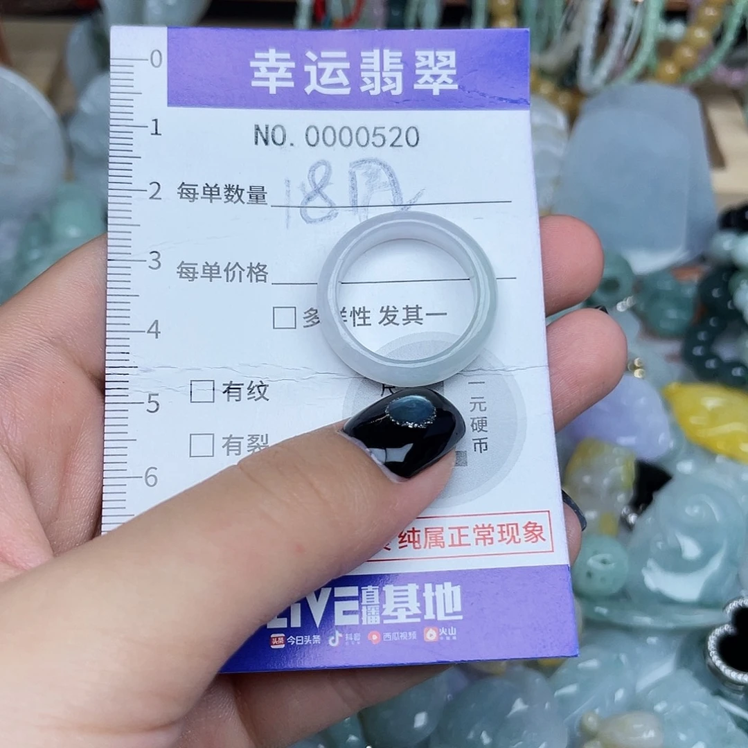 翡翠未镶嵌颈饰520