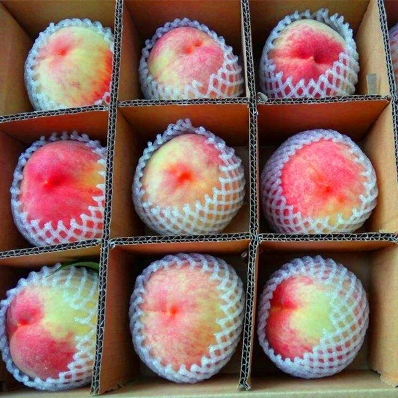 【顺丰包邮】水蜜桃5斤现摘当季新鲜水果桃子时令水果脆甜整箱包邮