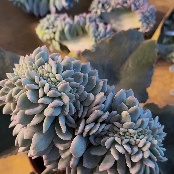 *****哈哈哈哈哈哈哈哈哈哈哈哈