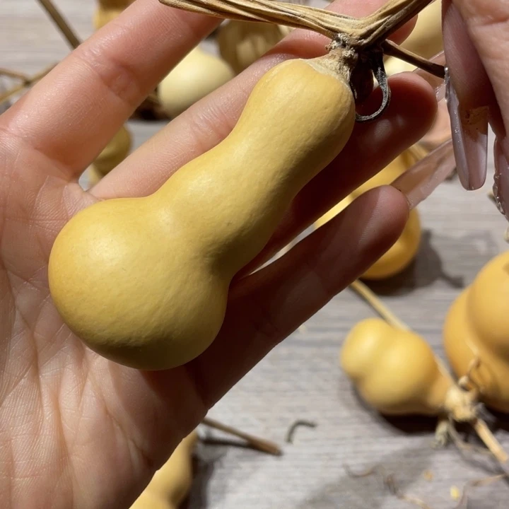 张**®葫芦葫芦葫芦葫芦