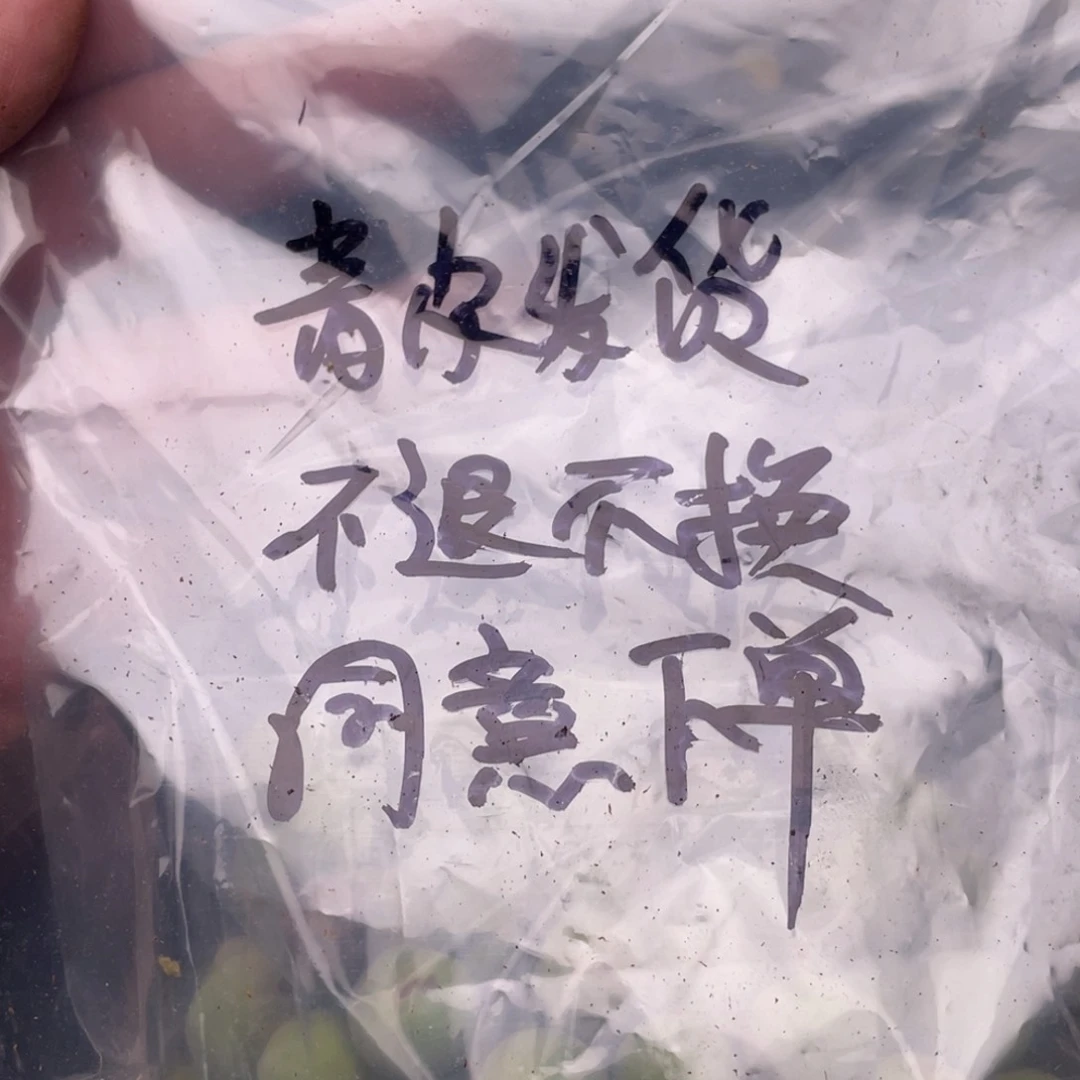 【闪购商品】核桃其他2包青皮发货，不退不换，同意下单
