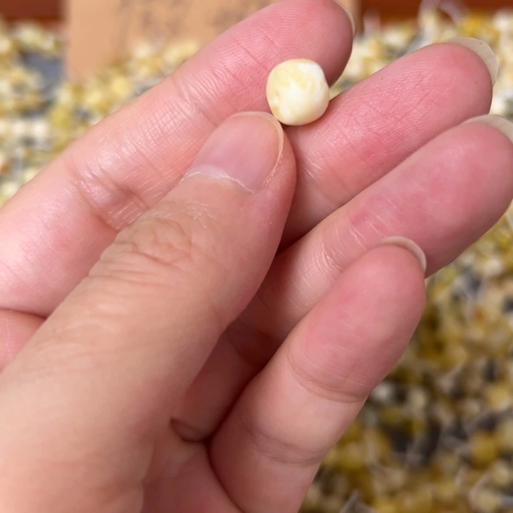 蜜蜡未镶嵌裸石8.5mm一个