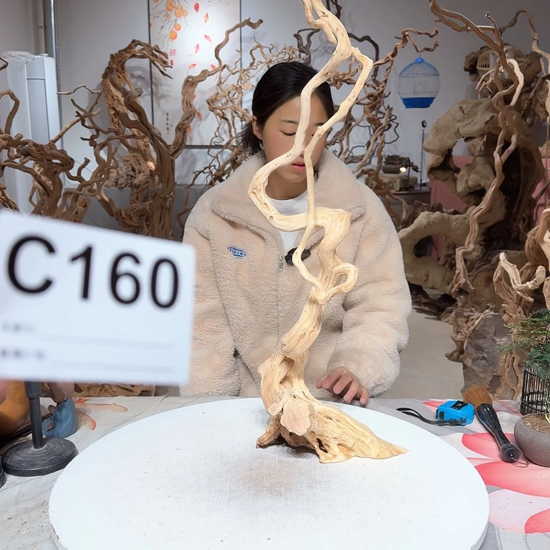 风车木（黑檀木）伟**哥