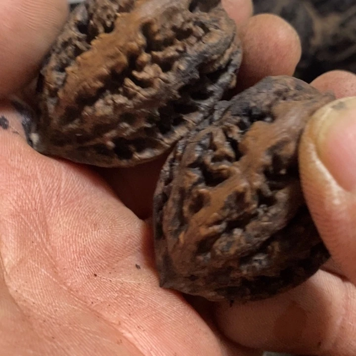 （***）吊坠文玩核桃东北特产31