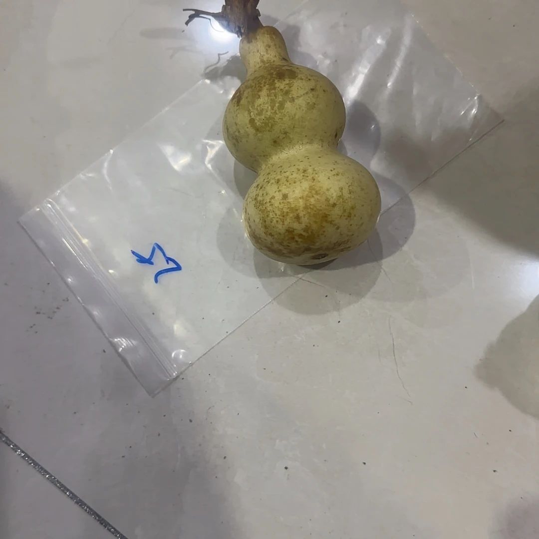 窄***哥青皮不包成青皮不包成