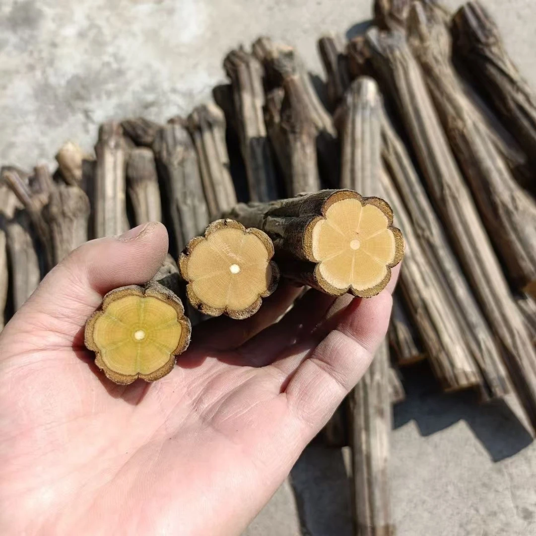 2太行山六道木防身棍车载棍降龙木武术鞭杆登山杖50-100