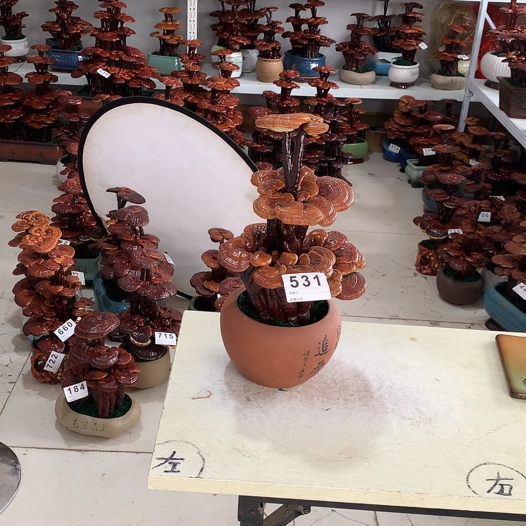 完全开放8888888888