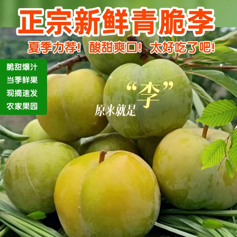 【夏季粉丝福利】贵州青脆脱骨青脆李酸脆爽口现摘现发当季新鲜包邮