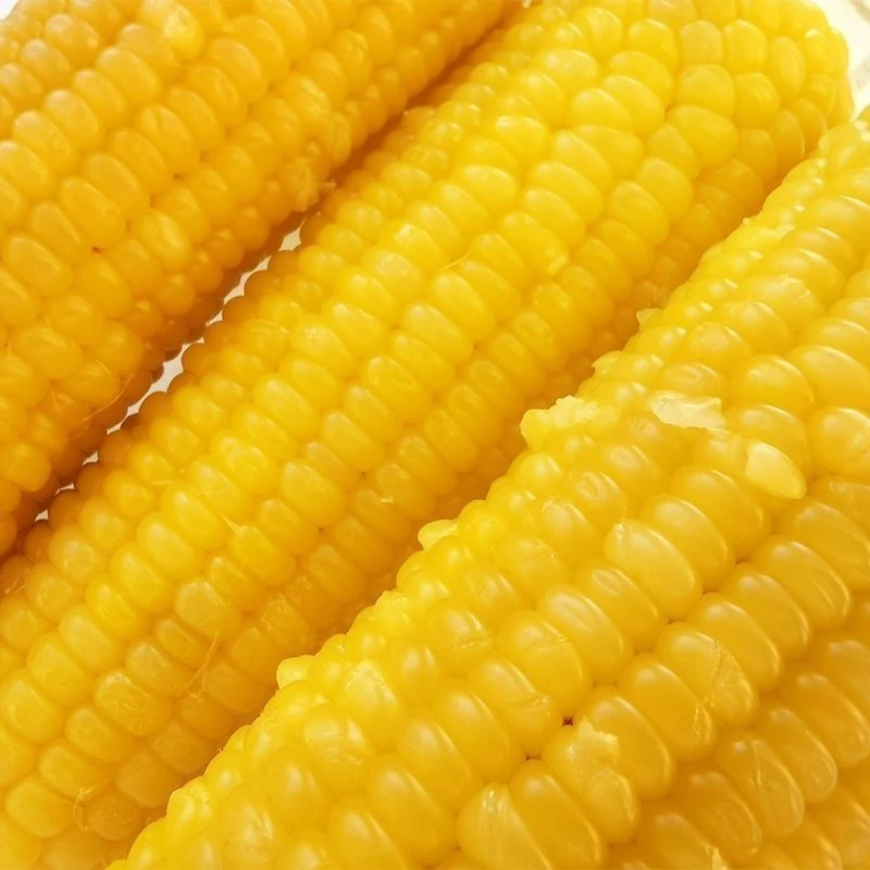 鑫源|黄糯九小棒玉米200g*8支非转基因粘玉米独立包装