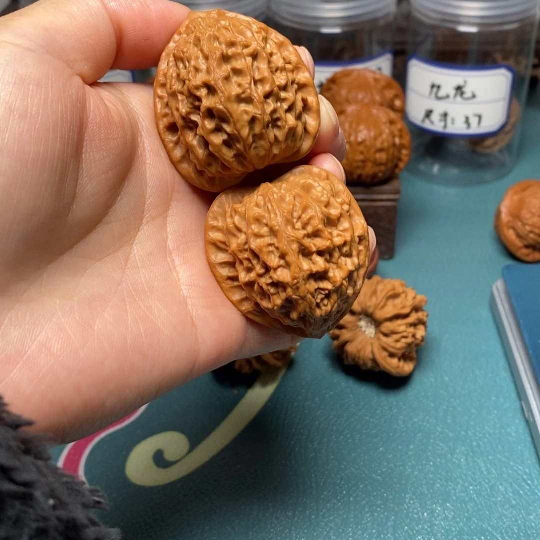 核桃39尺全品金牛