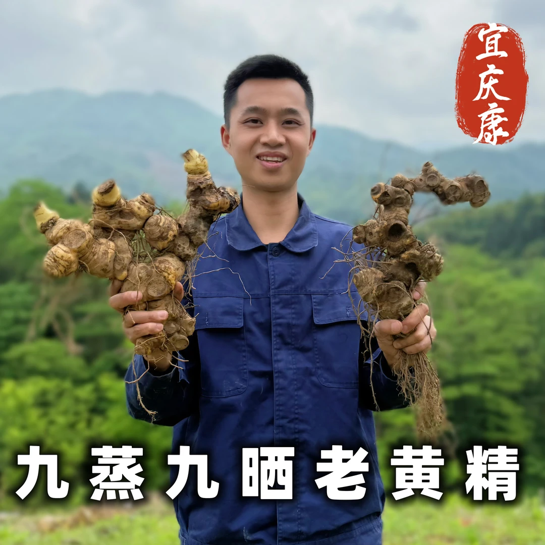 高年份 九蒸九晒黄精(仙人余粮)山货农产品