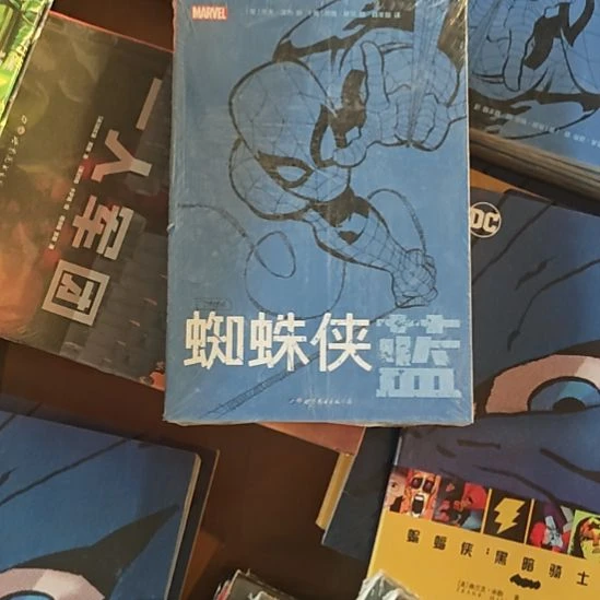 蜘蛛侠蓝平装塑封库存书