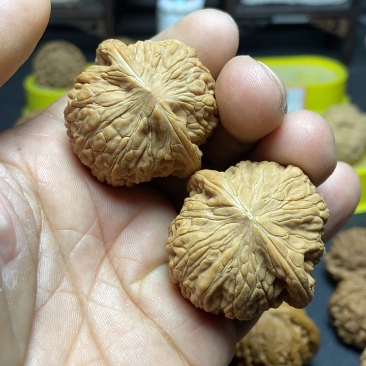 核桃山地绣球004