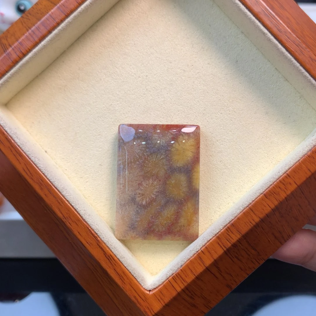 硅化珊瑚（珊瑚玉）未镶嵌颈饰