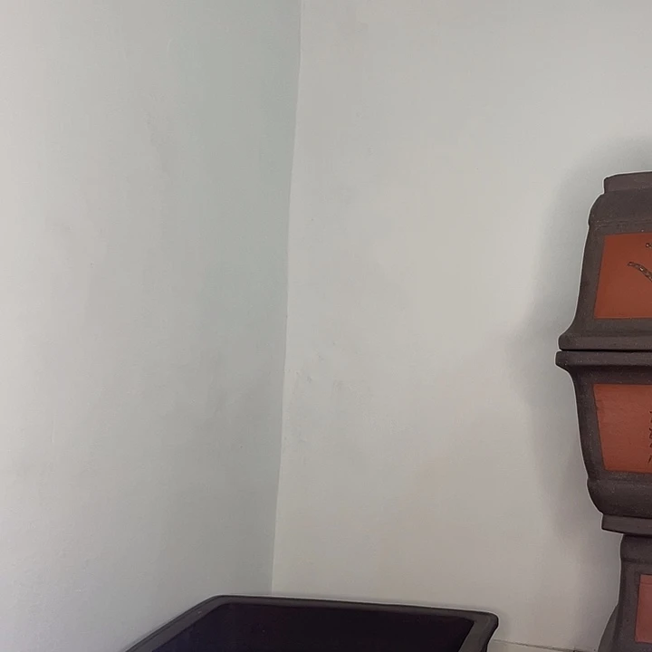 两个50一家咯拍了肉